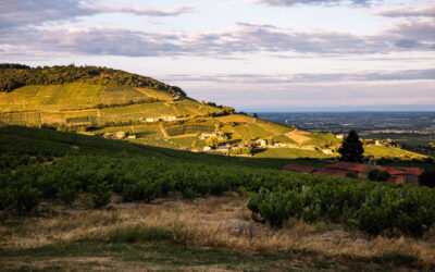 Se marier dans le beaujolais – Mes lieux de réception préférés